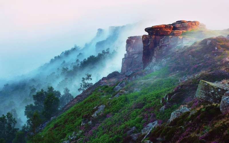 Stones, Landscape, Morning, Mountain, 1080P, Forest, Early, Fog, Flowers, rocky, cliff, Grass