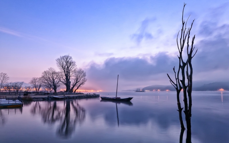 Early, Dawn, Lake, Boat, 1080P, Lights, silhouette, Trees, Reflection, tree, Morning, Fog