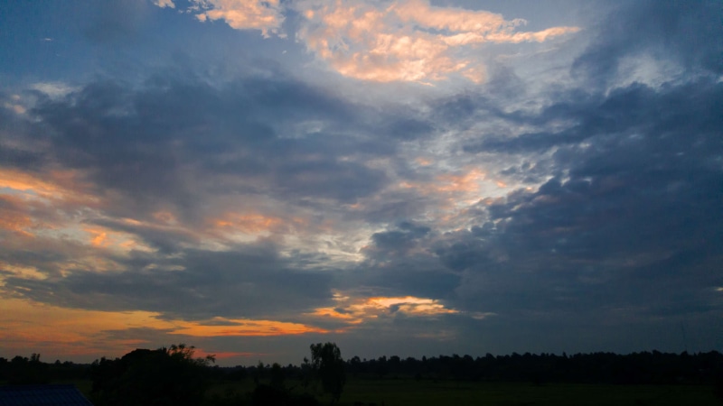 scenics - nature, rural scene, sky, tranquil scene, plant, cloudy sky, no people, cloud, dark, early morning, silhouette, nature, tree, dramatic sky, refreshing
