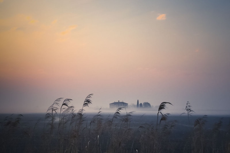 surrounded, sunset, landscape photography, Early morning, fogs, landscape, 480P, morning  light, grass, photography, house, nature, winter, morning light