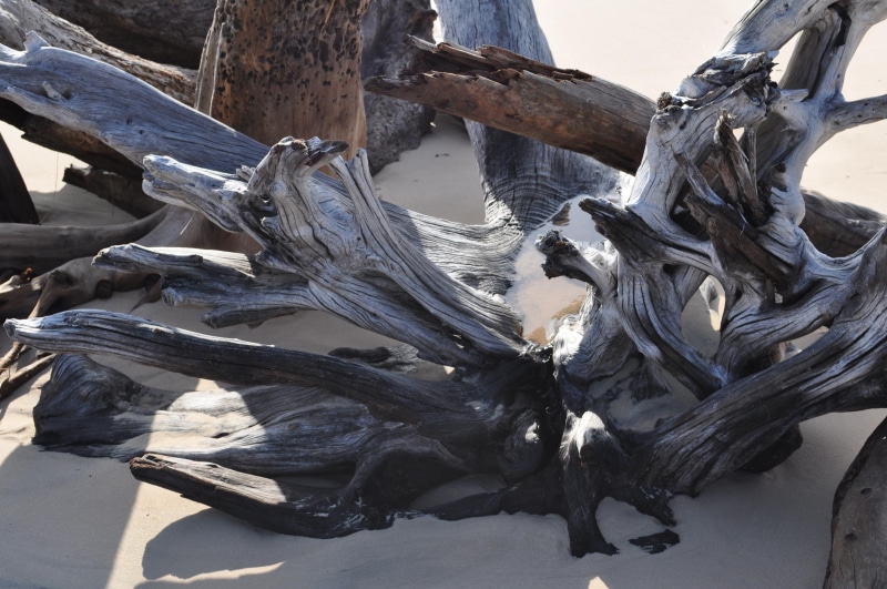 shadows, drift, sunlight, wood, early, abstract, 4K, morning