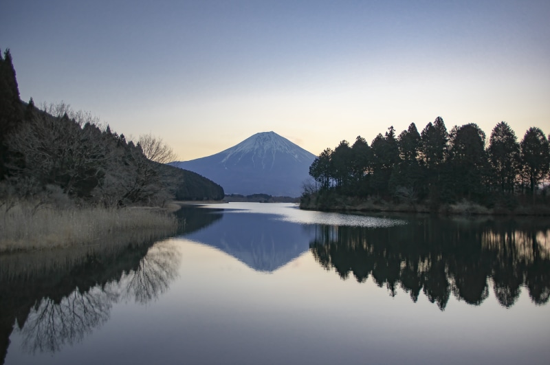 silence, beauty in nature, japan, landscape, tree, 5K, plant, shizuoka prefecture, scenics - nature, lake, lake tanuki, idyllic, outdoors, mountains of japan