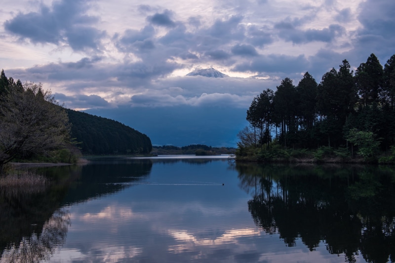 sunset, nature, tranquil scene, beauty in nature, plant, no people, pine, standing water, Japan, reflection, non-urban scene, Honshu, idyllic, mountain