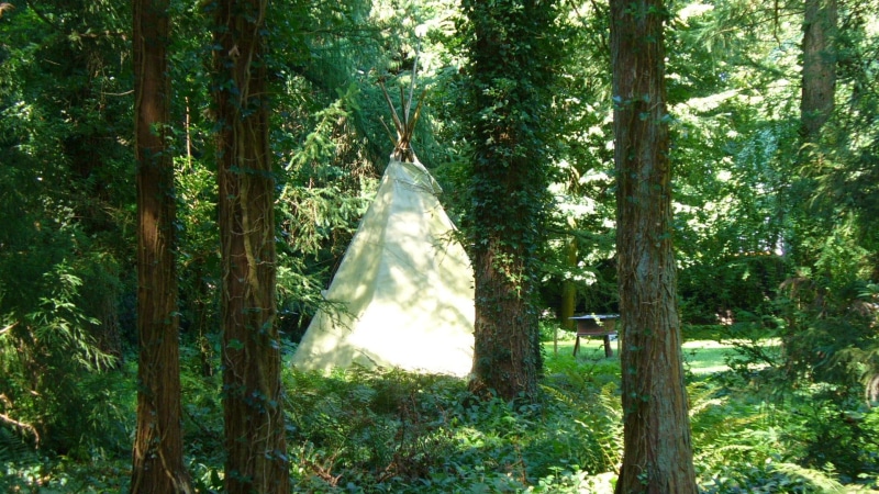 view, trees, forest, nature, arboretum, 1080P, tipi, tower