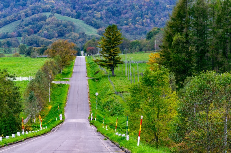 hokkaido, trees, beauty in nature, plant, grass, woods, wood, scenics, nature, tranquility, forest, mountain, day, direction, natural, tranquil scene, landscape
