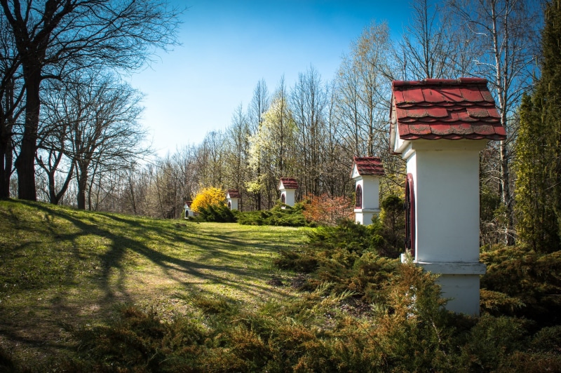 bare tree, symbol, sunlight, house, day, Arboretum, tranquility, architecture And Buildings, Kecskemét, scenics - nature, Spring, tree, catholic, sky, field