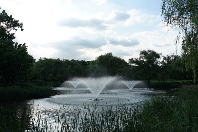grass, summer, cloud - sky, fountain, outdoors, play, flowing water, power in nature, no people, splashing, growth, dip, environment, fountain garden, yongsan family park