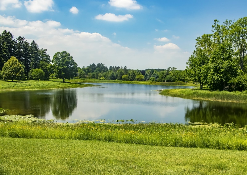 growth, outdoors, non-urban scene, Northern Illinois, Park, plant, scenics - nature, day, sky, cloud - sky, idyllic, trees, the sun, reflection, pond, lake
