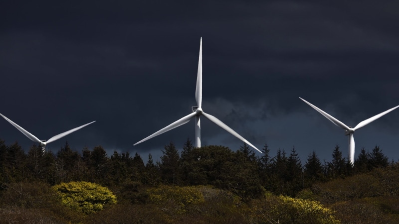 1080P, no people, turbine, renewable energy, clouds, landscape, forest, outdoors, wind, nature, non-urban scene, technology, wind turbine, sustainable resources