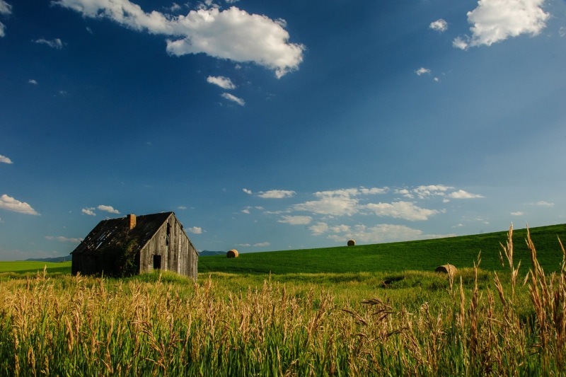 summer, farm, agriculture, rice mill, rice, barn, bales, grass, 2K, rural Scene, house, Idaho, mill, nature, field, sky, photo, landscape