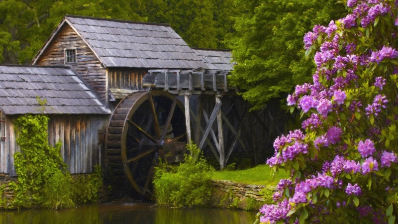 water, outdoors, nature, architecture, tree, beauty in nature, flowering plant, plant, mill, flower, flowers, fuel and power generation, building exterior