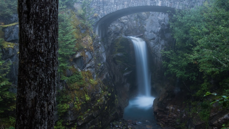 waterfall, motion, no people, plant, tree trunk, rainforest, non-urban scene, flowing water, water, trunk, digital, nature, mountains, outdoors, clouds