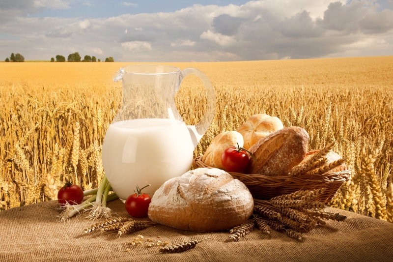 container, bread, food And Drink, day, field, rural Scene, land, agriculture, harvesting, vegetarian Food, autumn, jug, whole Wheat, rustic, sky, no people