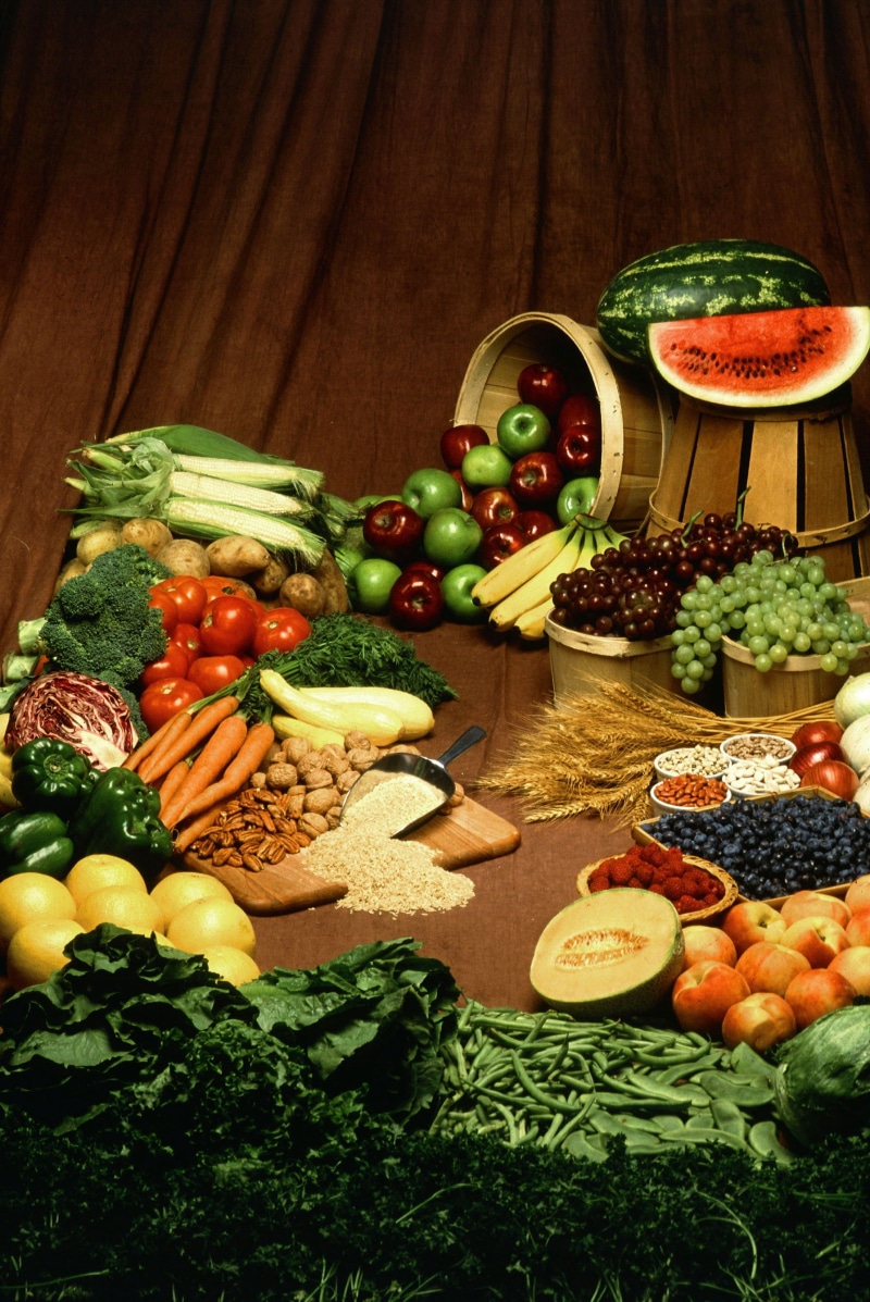  indoors, feed, variety, bananas, red and green apples, vegetable, cabbage, blueberries, food, vegetarian, tomato, choice, healthy food, no people