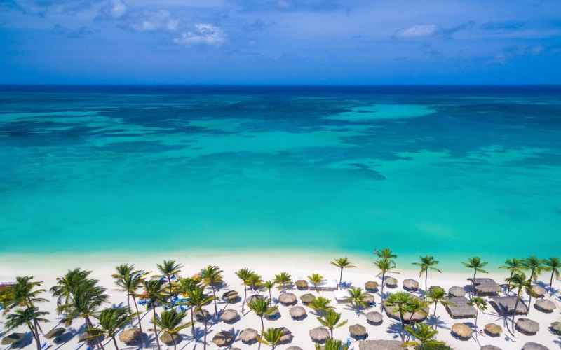 1080P, aruba, hd, palm, resort, beach, america, eagle, south
