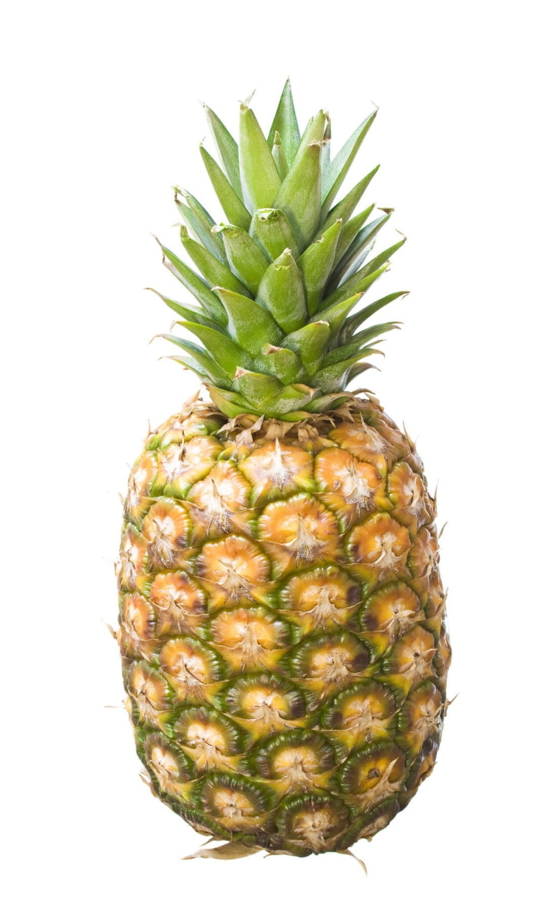 succulent plant, food and drink, vitamin, white background, vegetarian, fresh, single object, healthy, natural pattern, meal, ananas, no people, nutrient