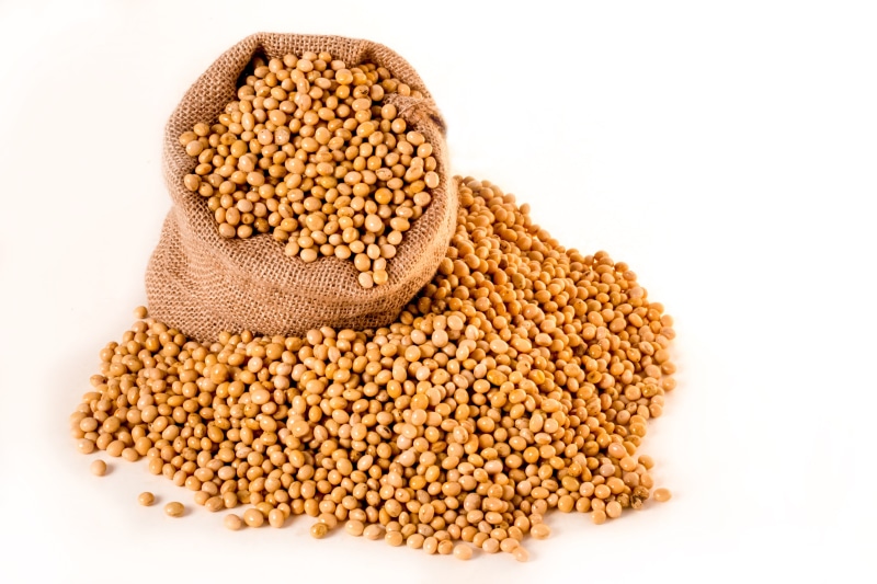 close-up, 5K, soybeans, legume family, organic, lentil, plant, vegetarian Food, raw Food, dry, agriculture, brown, ingredient, healthy Eating, beans, cereal Plant