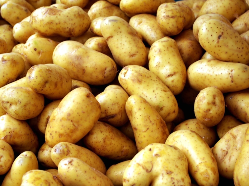 freshness, no People, pile, ingredient, prepared Potato, organic, market, raw Food, large group of objects, close-up, nature, vegan Food, potato, market stall