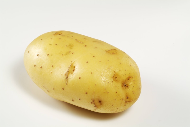 backgrounds, single Object, vegetable, studio shot, nature, root Vegetable, potato, food, white background, young, yellow, food And Drink, freshness, raw Food