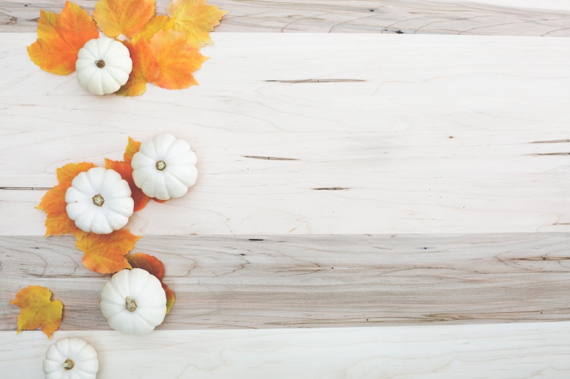 petal, woodgrain, vulnerability, Pumpkin, flowering plant, Thanksgiving, orange color, Fall, Harvest, directly above, high angle view, inflorescence, fragility