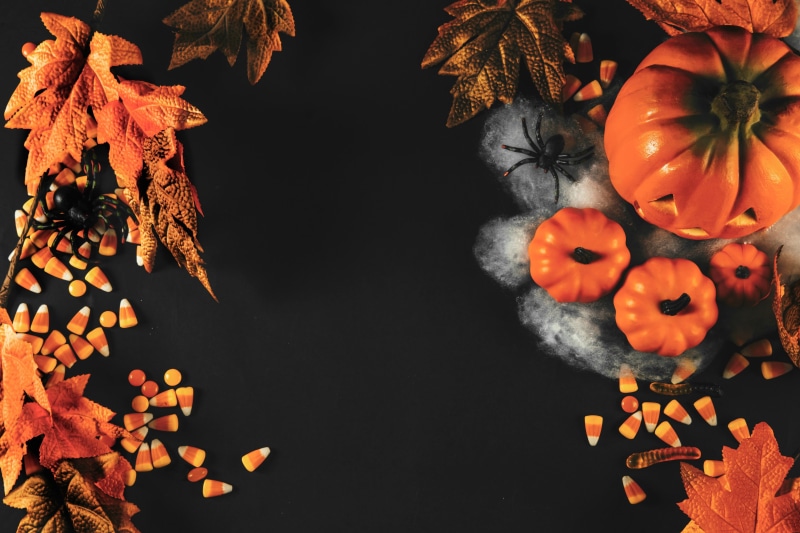 still life, orange color, change, food, leaf, plant part, autumn, food and drink, no people, leaves, Halloween, decoration, healthy eating, 4K, wellbeing