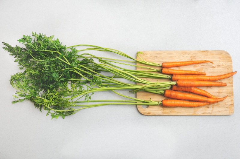 freshness, Food, wellbeing, carrots, green color, healthy eating, herb, still life, orange color, vegetarian food, organic, studio shot, indoors, photo