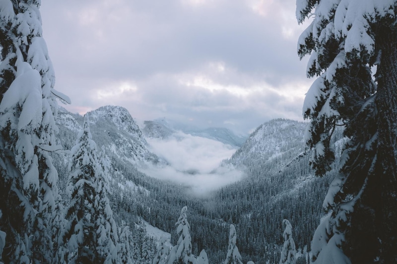 white color, tranquility, mountain, scenics - nature, winter, tree, snow, beauty in nature, plant, non-urban scene, 720P, tranquil scene, landscape, environment