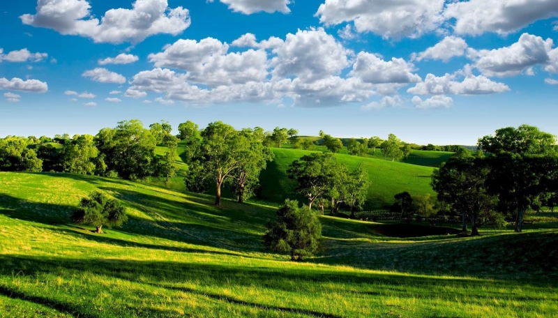scenics - nature, plant, beauty in nature, tranquil scene, land, field, green color, trees, landscape, tree, tranquility, rolling landscape, river, non-urban scene