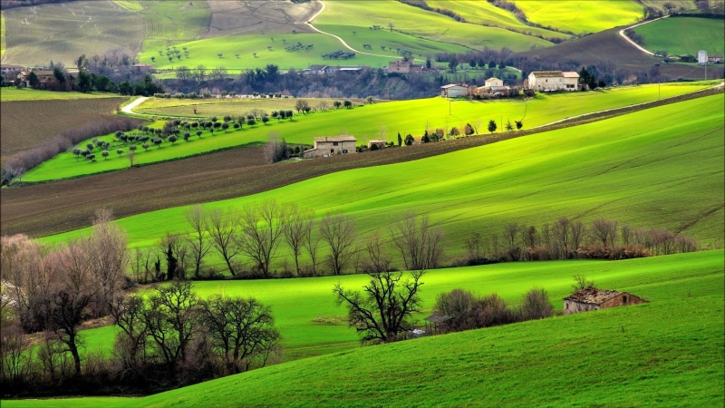 nature, land, tranquility, green, landscape, green color, outdoors, hills, agriculture, day, scenics - nature, field, plant, 1080P, rolling landscape