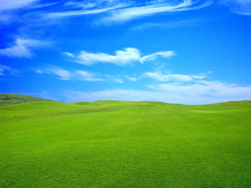 tranquil scene, plain, rolling landscape, blue, non-urban scene, day, scenics - nature, meadow, outdoors, sky, 1080P, nature, field, tranquility, grass