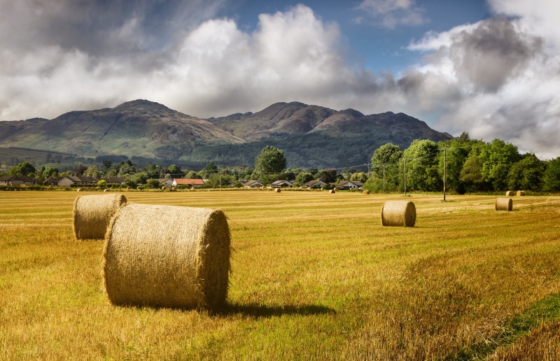 daytime, green, farm, mountains, hays, nature, rolled Up, agriculture, harvesting, near, scenics, bale, sky, outdoors, rural Scene, Comrie, hay  bale, 4K