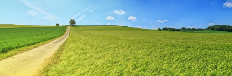 green, landscape, tranquil scene, farm, blue, plant, beauty in nature, tranquility, meadow, 8K, rolling landscape, blue sky, nature, grass, non-urban scene