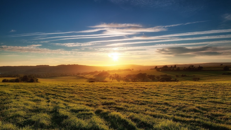 rolling landscape, nature, sunset, agriculture, land, widescreen high resolution nature hd 1920x1080, plant, sky, idyllic, grass, tranquil scene, 1080P