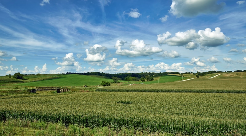outdoors, landscape, farm, beautiful, growth, day, america, 4K, beauty in nature, country, panorama, crop, summer, tranquil scene, field, plant, rural