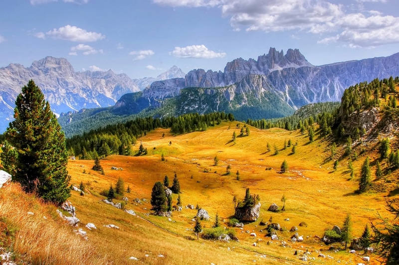plant, outlook, aerial, cortina dampezzo, dolomites, woodland, alpine panorama, mountain pass, pine woodland, tranquility, rock, scenics - nature, karg