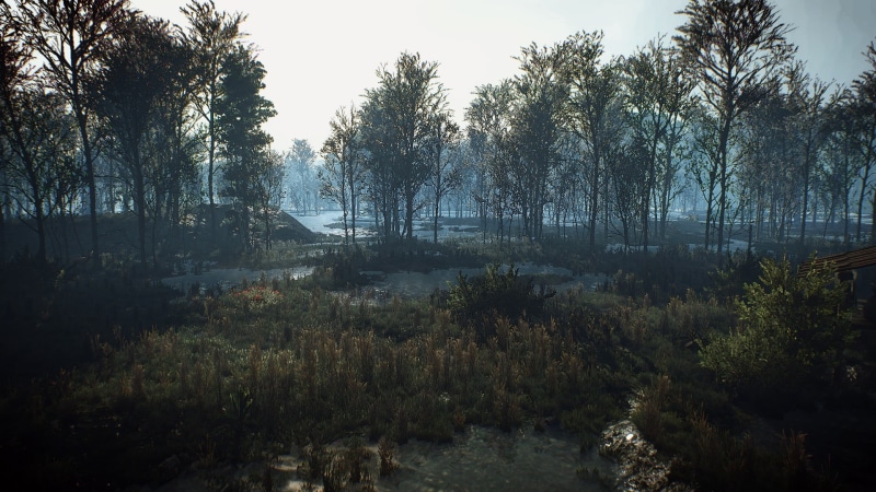 beauty in nature, The Witcher 3: Wild Hunt, land, tranquil scene, leafed, day, idyllic, non-urban scene, 1080P, water, tree, environment, sky, tranquility