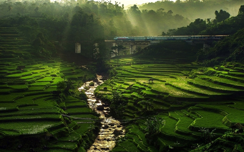 sun rays, nature, water, river, mist, bridge, rice paddy, train, landscape, field, trees, terraces, green, 720P