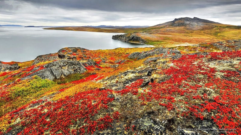 Fall, northwest, nunavut, passage, colors, 2K, canada, along
