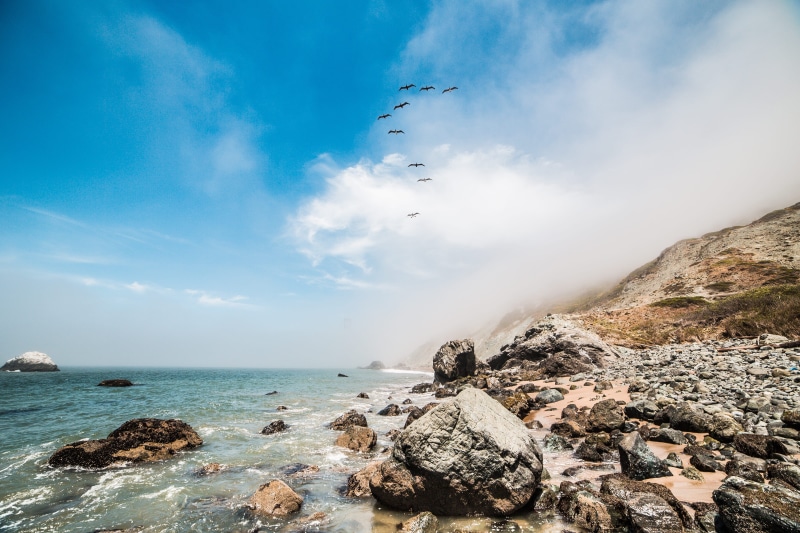 land, rock - Object, bird, horizon Over Water, outdoors, animals in the wild, shore, cloud - Sky, waves, blue, beauty In Nature, summer, Flying, Birds
