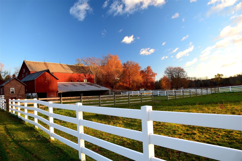 tree, white fence, red, rural, rustic, farmland, fence, architecture, pasture, rural scene, field, wood - material, tranquil scene, land, building, wooden