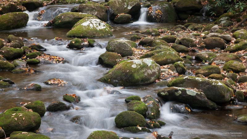 great, mountains, fork, smoky, 2K, roaring, tennessee, along, trail, motor, Nature