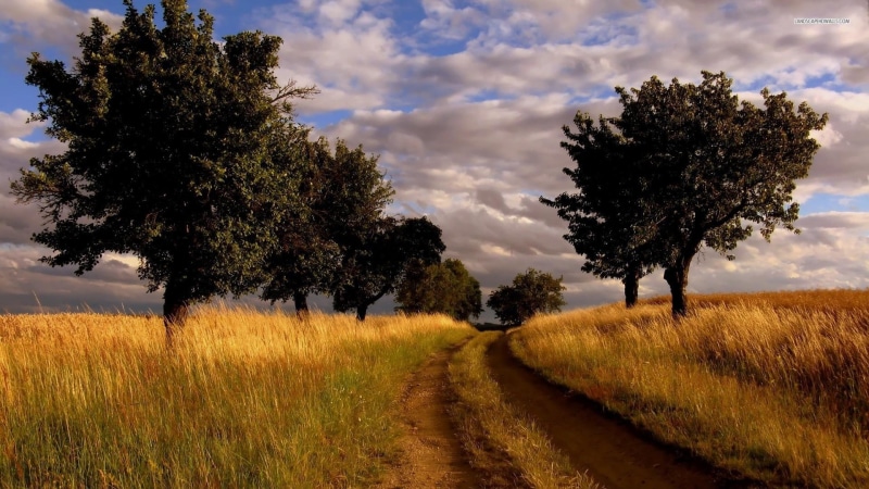 country, road, trees, fields, 1080P, along, nature and landscapes, clouds