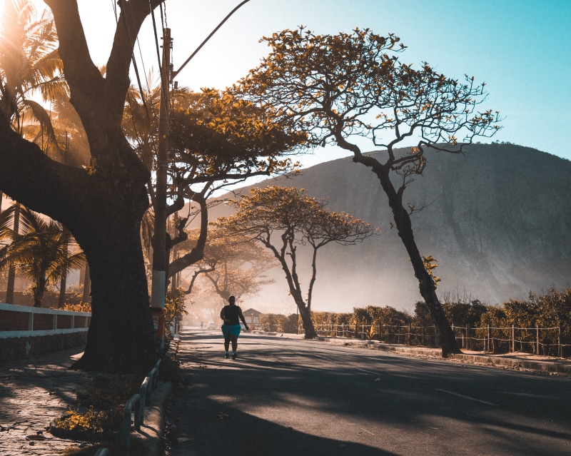 beauty in nature, plant, 4K, outdoors, trunk, sky, road, person, growth, landscape, niteroi, human, leisure activity, transportation, brasil, sports, sunlight