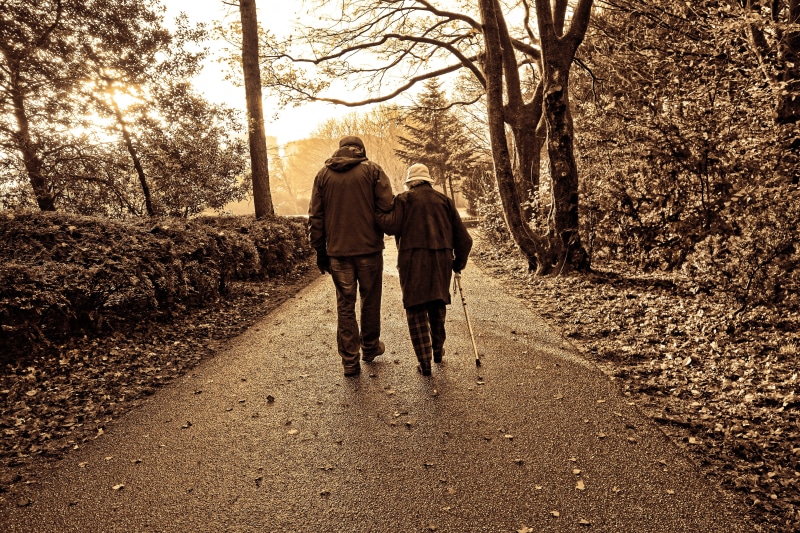monochrome, park, along, women, impaired vision, blind, togetherness, path, 4K, arm in arm, bonding, concrete, warm clothing, love, elderly couple, tree