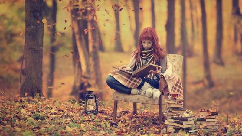front view, studying, gray, young women, student, chair, tree, seat, sitting, blond Hair, cheerful, s, woodland, yellow, autumn, relaxation, lifestyles