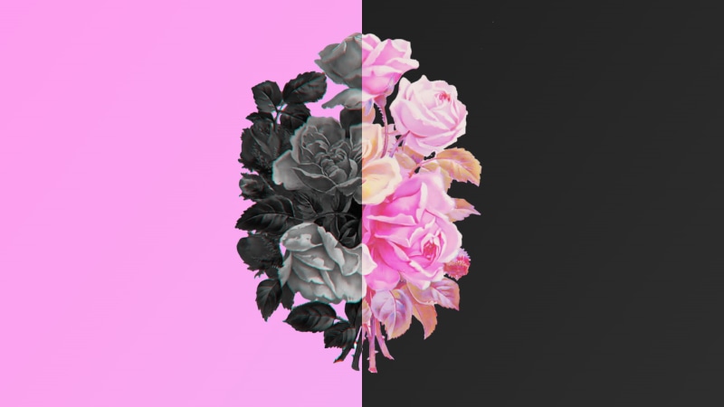 plant, black, freshness, bouquet, flowering plant, petal, no people, inflorescence, wilted plant, 1080P, black background, nature, copy space, studio shot