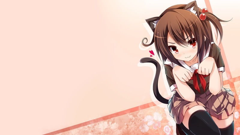 anime, hair, retro styled, nekomimi, wall - building feature, cat girl, anime girls, thigh-highs, studio shot, eyeglasses, young adult, one person, fashion