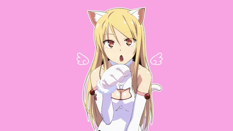 young adult, women, portrait, anime girls, adult, representation, Sakurasou no Pet na Kanojo, art and craft, colored background, animal ears, females, studio shot