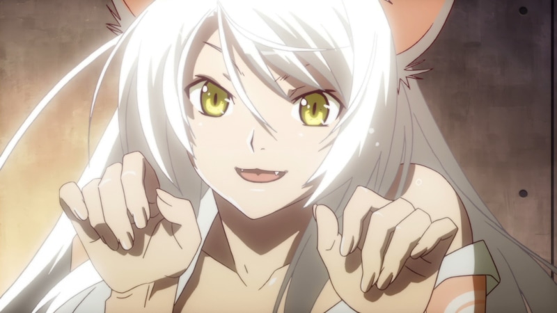 1080P, anime, Monogatari Series, Hanekawa Tsubasa, yellow eyes, nekomimi, Sawarineko