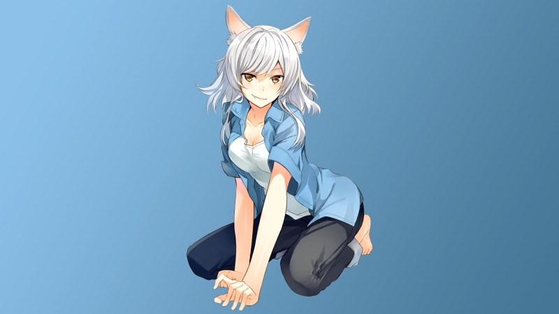 sunlight, outdoors, clothing, nekomimi, nature, portrait, blue, Sawarineko, adult, day, Monogatari Series, Hanekawa Tsubasa, clear sky, 4K, low angle view